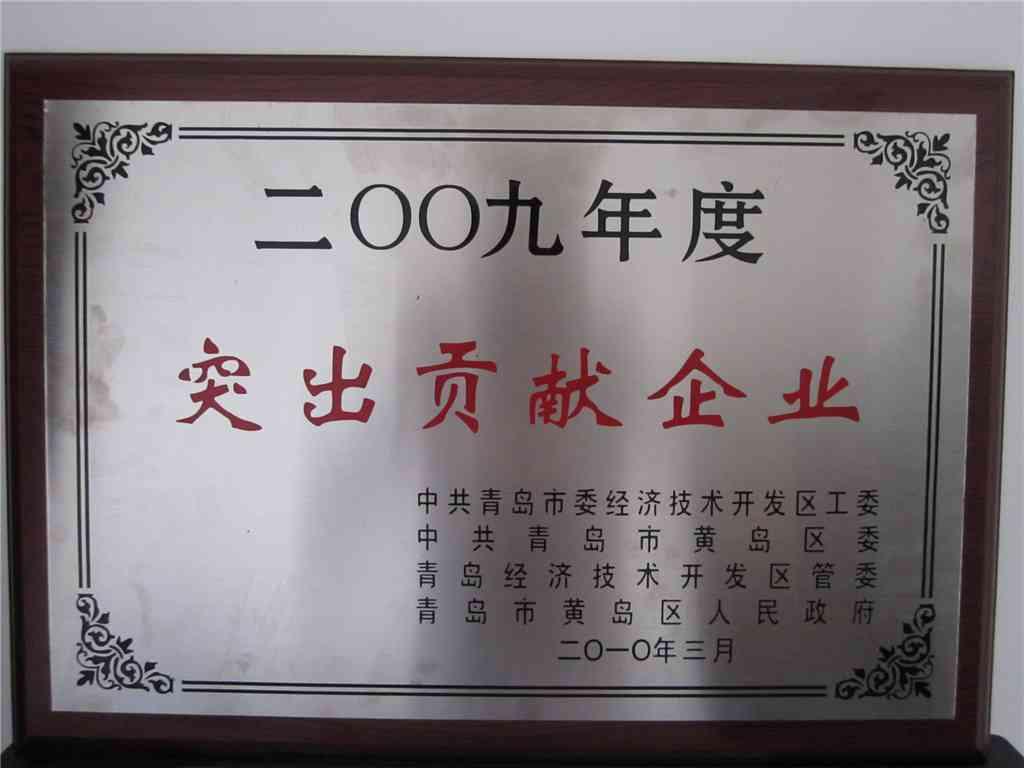 2009年突出贡献工业企业